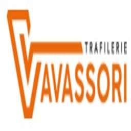 TRAFILERIE VAVASSORI SRL Company Profile .